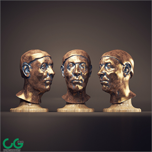 Bust